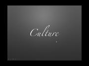 A Brief Introduction to Culture