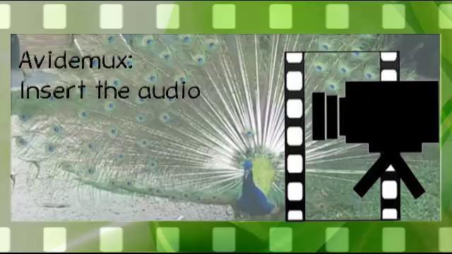 Avidemux : Insert the Audio